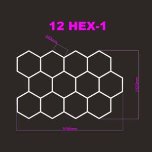 Hexagon Garage Lihgts with 12 Hex